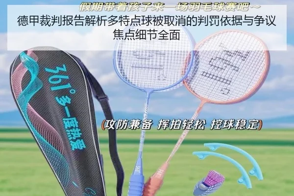 德甲裁判报告解析多特点球被取消的判罚依据与争议焦点细节全面